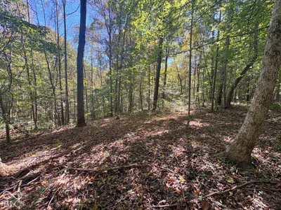 3920 N County Road 500 W, West Baden Springs - 6