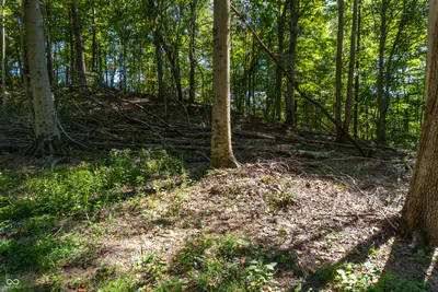 0 Pumpkinvine Hill Road, Martinsville - 14