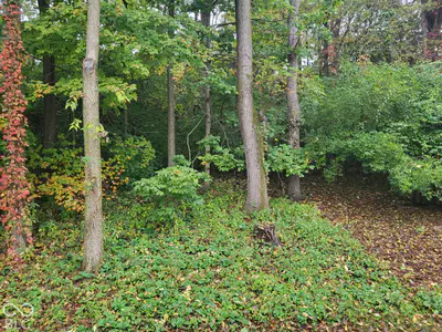 5966 Blue Heron Way, Plainfield - 3
