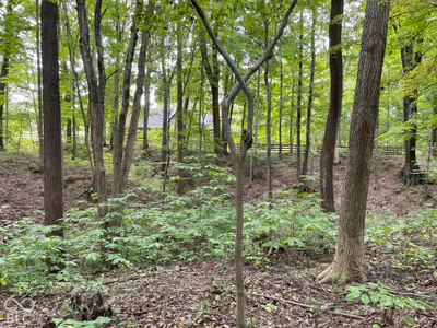 778 W Gasburg Lane, Mooresville - 36
