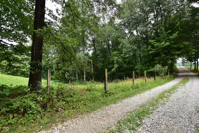 4203 Moorman Road, Batesville - 6
