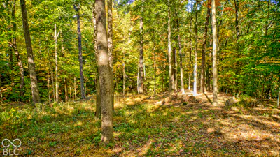 4223 N Warwick Road, Martinsville - 8