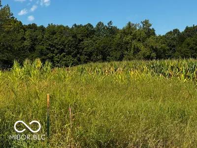 Lot #1 100, Perrysville - 2