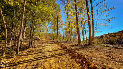 13290 E River Road, Shoals - 18