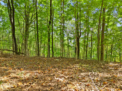 0 McCarthy Knob Road, Lanesville - 17