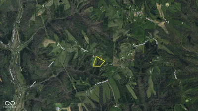 10372 Dugan Road, Vevay - 78