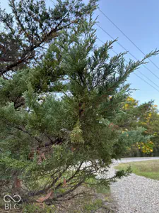 1625 State Road 46, Nashville - 23