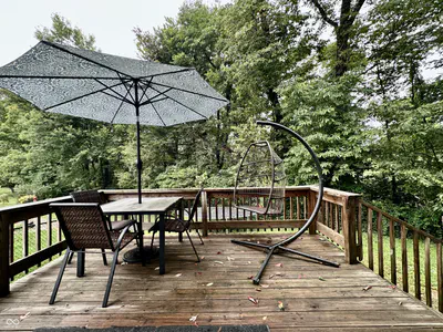 894 Lincoln Heights Drive, Martinsville - 44
