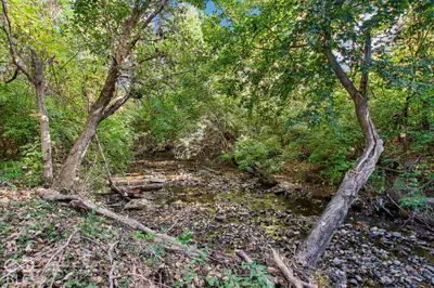 537 4th Avenue, Beech Grove - 23