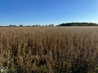 0 State Rd 234 SR 234, Wilkinson - 7