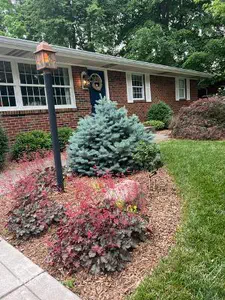 8305 Union Street, Indianapolis - 49
