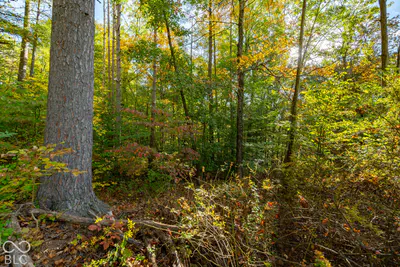 113 Hickory Knob Road, Nashville - 18