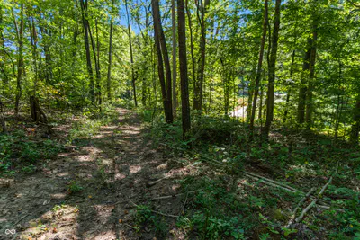 0 Pumpkinvine Hill Road, Martinsville - 10