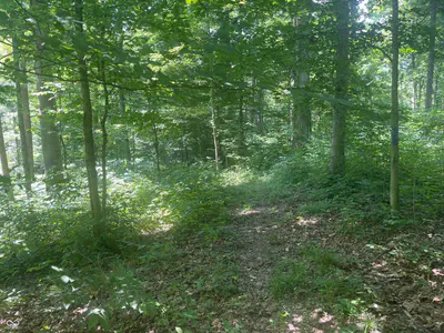 3812 E County Road 700 S, Cloverdale - 47