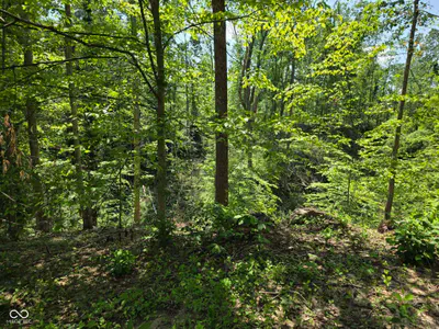 0 Blue Barn Road, Bloomfield - 38