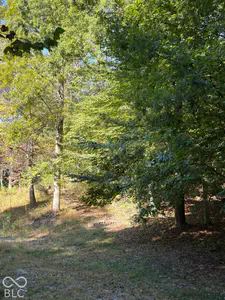 8942 Bean Blossom Road, Trafalgar - 2
