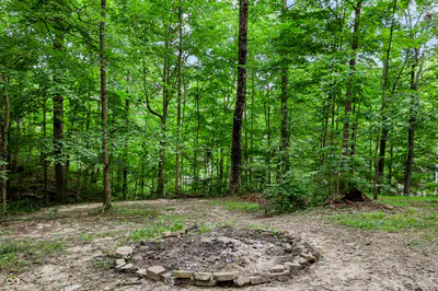 8265 Metzel Lane, Nineveh - 51