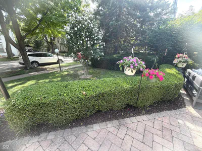 196 Madison Street, Franklin - 4
