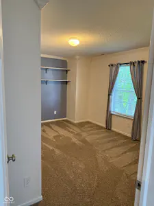 10022 Sapphire Berry Lane, Fishers - 24