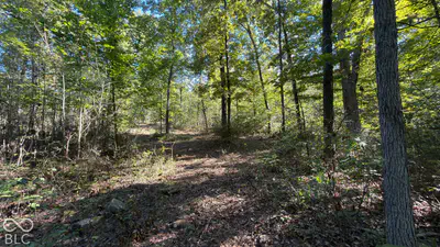 0 Michaels Road, Bloomfield - 40