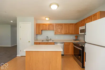 1257 Spring Lake Drive, Brownsburg - 13