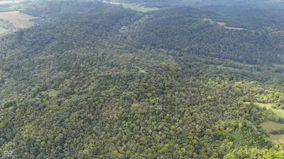 6847 Brushy Fork Road, Madison - 6