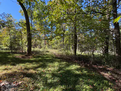 10101 Buckskin Road, Poland - 34