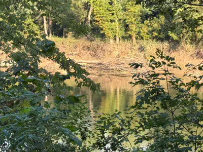2436 Firecrest Lane, Freedom - 20