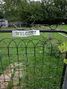 4311 Brown Street, Anderson - 56