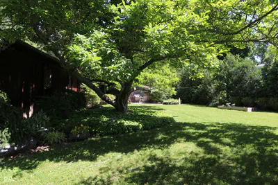 714 Edgewood Drive, Batesville - 32