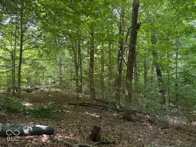 0 Buffalo Pike Road, Freetown - 6