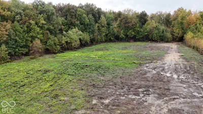 3949 E Thornton Road, Madison - 20
