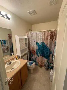 10264 New Dawn Place, Avon - 14