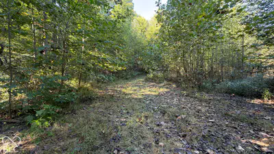 0 Michaels Road, Bloomfield - 17