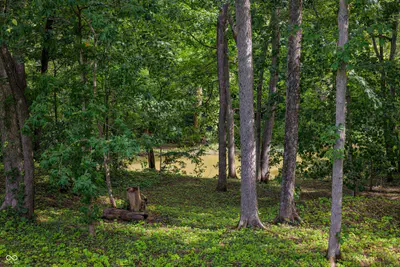 4200 County Road 1000, Hope - 39
