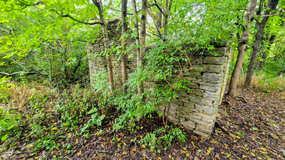 6847 Brushy Fork Road, Madison - 20