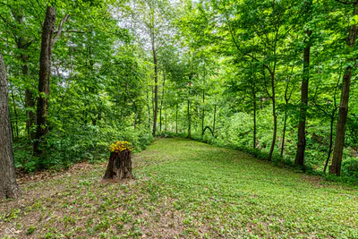 2255 Tinkers Trail, Rockville - 6