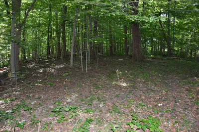 0 Sichting Road, Martinsville - 31