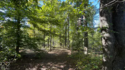0 Michaels Road, Bloomfield - 39