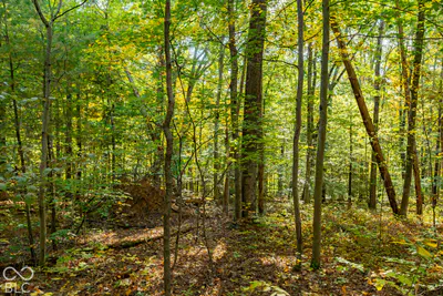 113 Hickory Knob Road, Nashville - 21