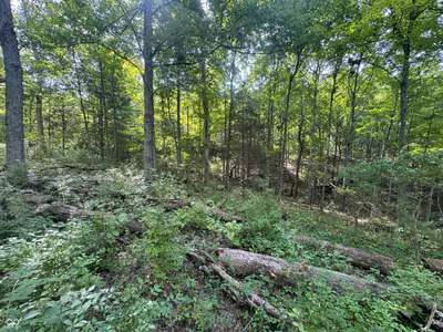 15839 State Road 156, Patriot - 26