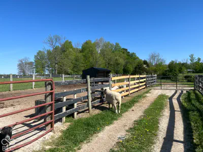 11104 County Road 1050, Stilesville - 38