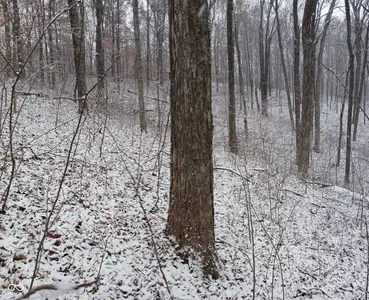 6821 W County Road 700 N, Freetown - 119