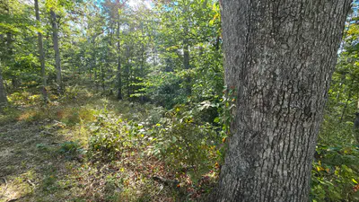 4332 State Road 135, Freetown - 15