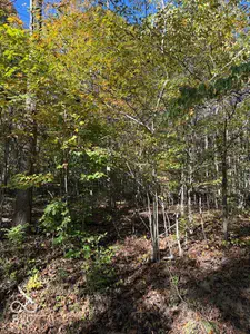 0 Sweetwater Trail, Nineveh - 11