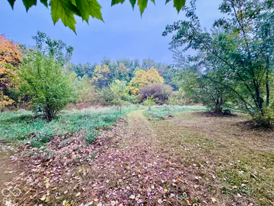 4550 Grassy Road, Jamestown - 36