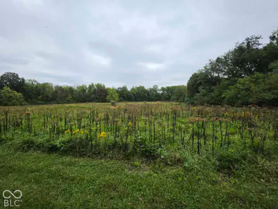 6164 County Road 350, Brownsburg - 9