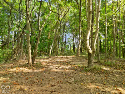 0 McCarthy Knob Road, Lanesville - 10