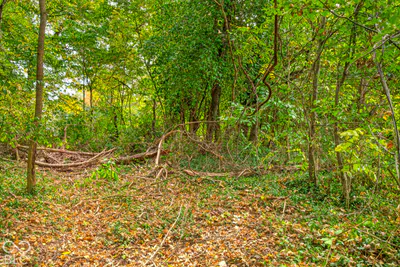 70 Norris Avenue, North Vernon - 68