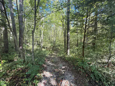 537 Pea Ridge Road, Spencer - 10